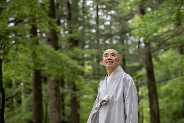 오대산 전나무 숲길을 걷는 퇴우 정념 스님. 사진=조선DB